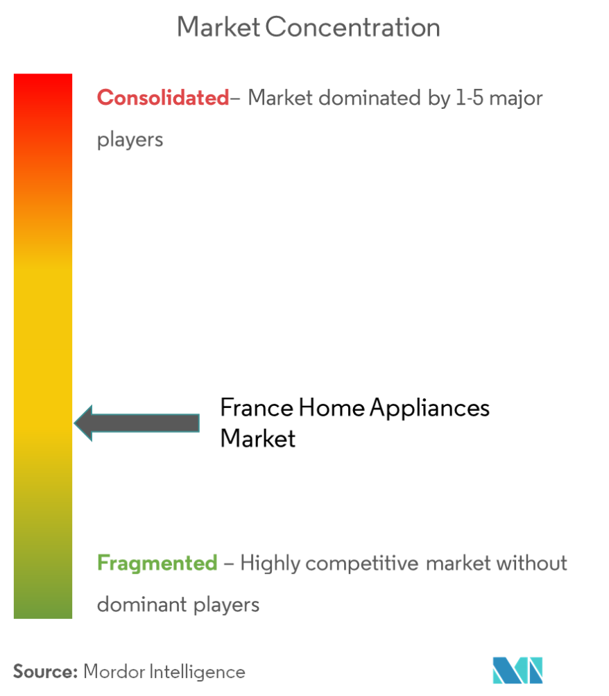 France Home Appliances Market Concentration